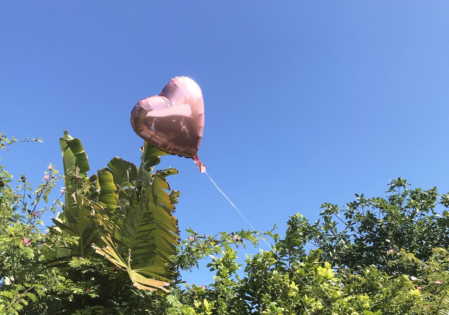 balloonvalentine.jpg