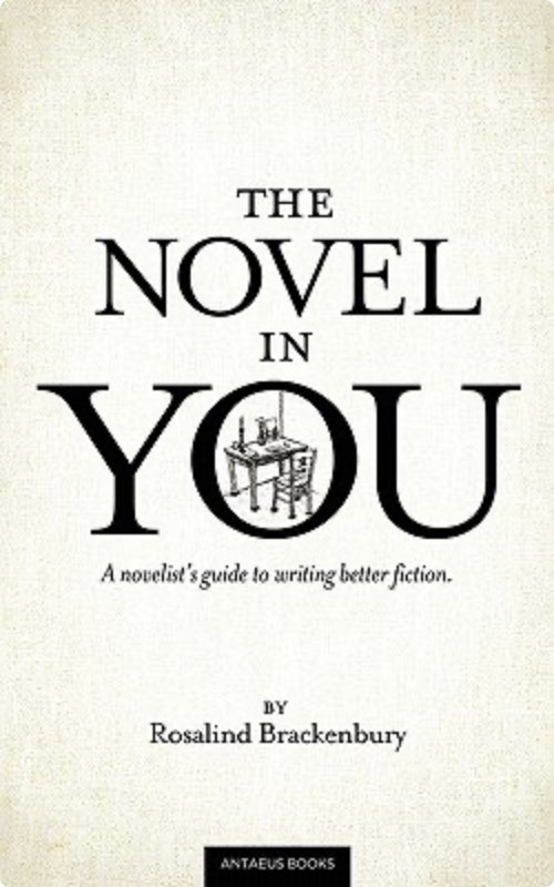 Cover of The Novel in You